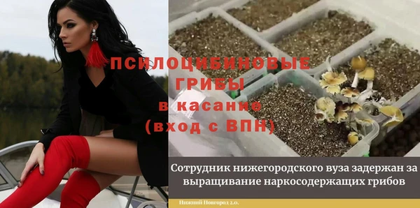 СК Алзамай