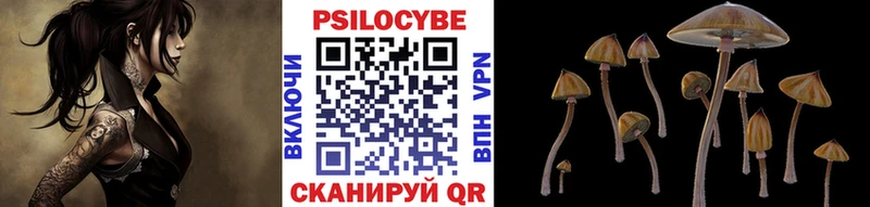 Псилоцибиновые грибы ЛСД  наркотики  Каргат 